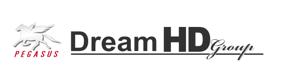 Dream HD group：ドリームホールディングスグループ
